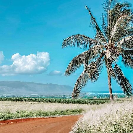 Cute Off Grid Glampsite With Wifi- 5 Min From Haleiwa Town Hotel Екстериор снимка