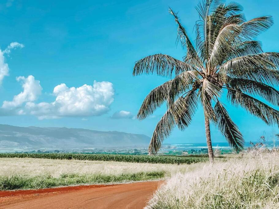 Cute Off Grid Glampsite With Wifi- 5 Min From Haleiwa Town Hotel Екстериор снимка