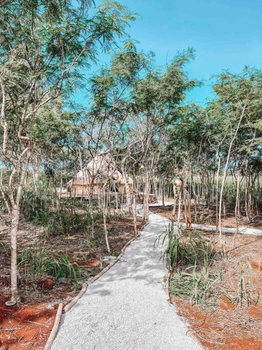 Cute Off Grid Glampsite With Wifi- 5 Min From Haleiwa Town Hotel Екстериор снимка