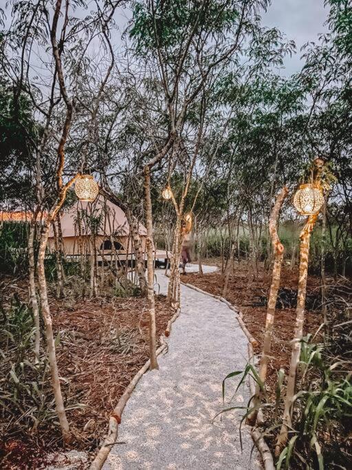 Cute Off Grid Glampsite With Wifi- 5 Min From Haleiwa Town Hotel Екстериор снимка