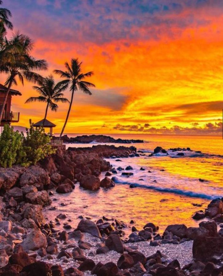 Cute Off Grid Glampsite With Wifi- 5 Min From Haleiwa Town Hotel Екстериор снимка